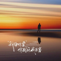 我给你爱你别把我伤害（重制版） (Single)