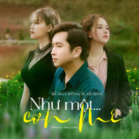 Như Một Cơn Mê (Beat) (Single)