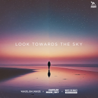 Look Towards The Sky (Acoustic) (Single)
