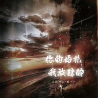 你的婚礼我放肆醉 (Single)