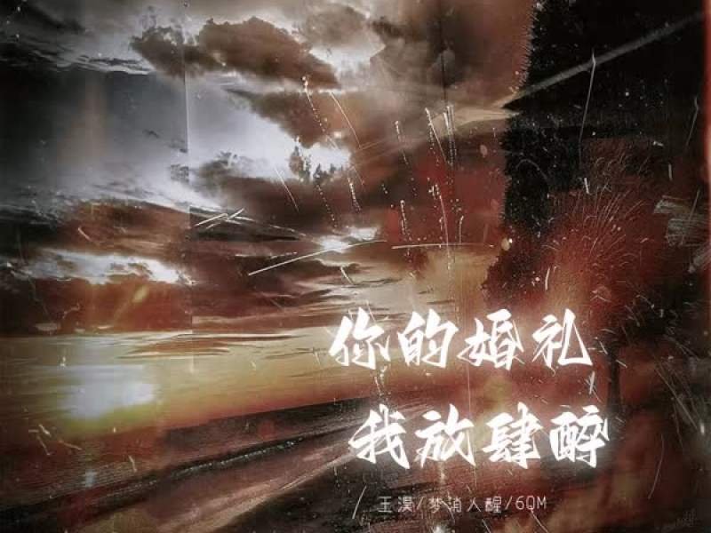 你的婚礼我放肆醉 (Single)