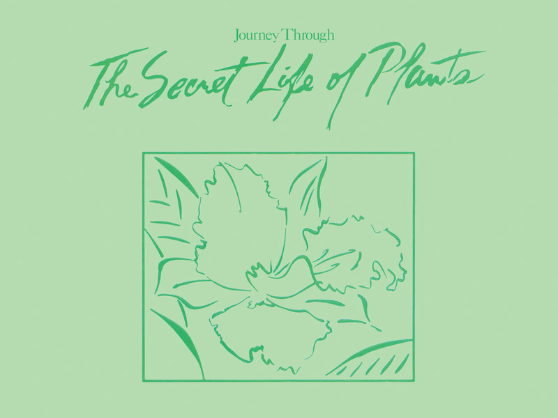Journey Through The Secret Life Of Plants