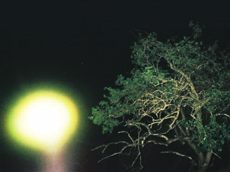 Altered States (Single)