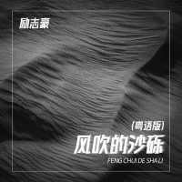 风吹的沙砾 (粤语版) (Single)