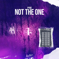 Not the One (Single)