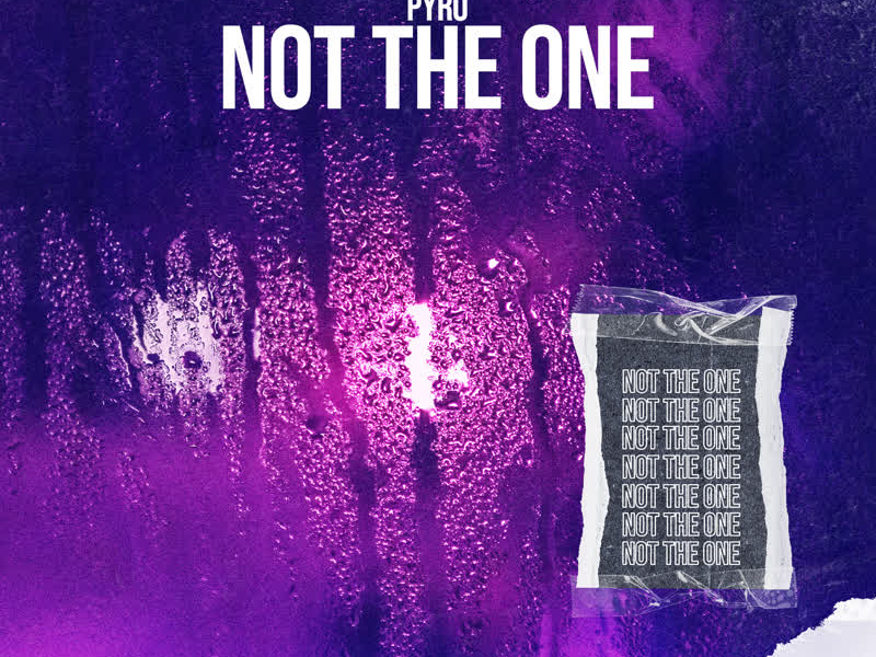 Not the One (Single)