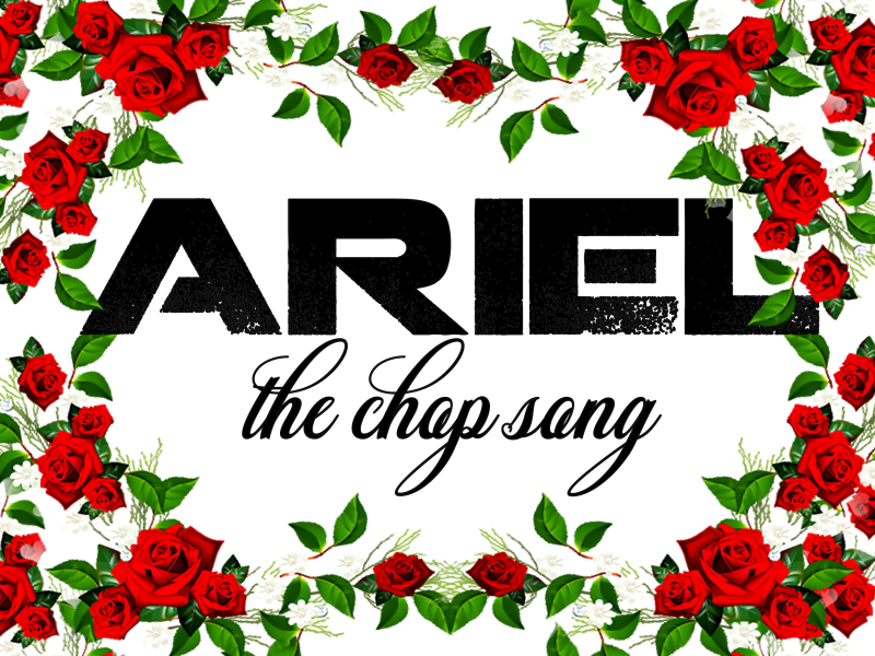 The Chop Song (Single)