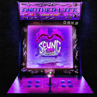 Another Life (SEUNG Remix) (Single)