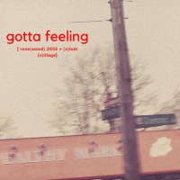 Gotta Feeling (Single)
