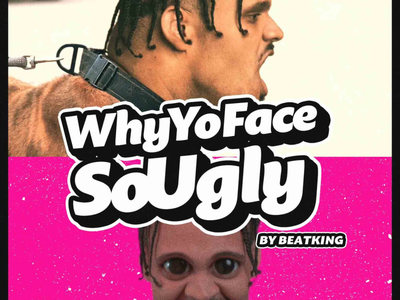 Why Yo Face So Ugly (Single)