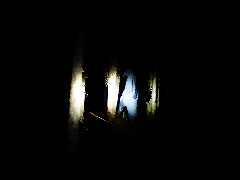 Five on It (feat. Tyr) (Single)