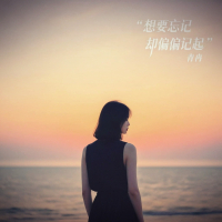 想要忘记却偏偏记起 (Single)