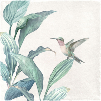 Little Pieces (Single)