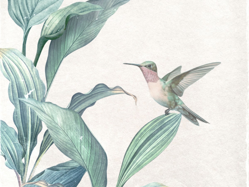 Little Pieces (Single)