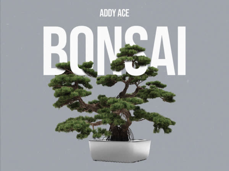 Bonsai (Single)