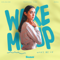 Wake Me Up (Single)