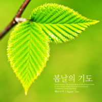 Springtime prayer (Single)