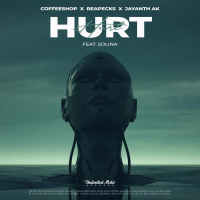 Hurt (feat. Solina) (Single)