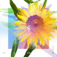 [Re:flower] PROJECT #5 (EP)