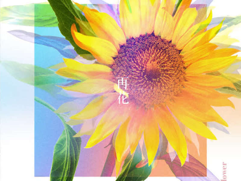 [Re:flower] PROJECT #5 (EP)