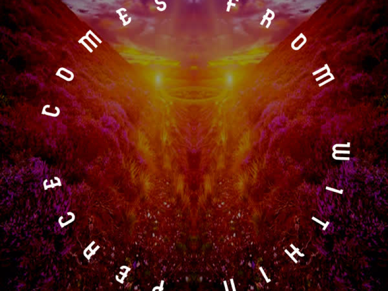 Peace Comes from Within