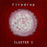 Cluster I
