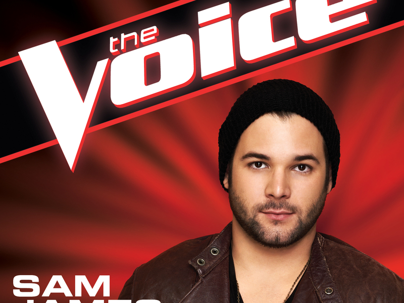 You Give Love A Bad Name (The Voice Performance) (Single)