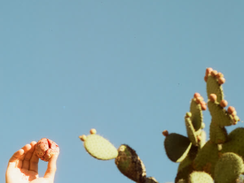 Desert Love (Single)