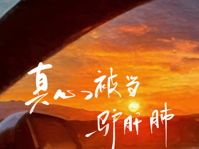 真心被当驴肝肺 (Single)