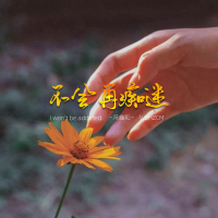 不会再沉迷 (Single)