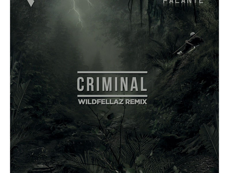Criminal (Wildfellaz Remix) (Single)