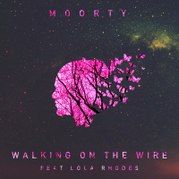 Walking on the Wire (Single)