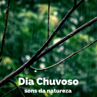 Dia Chuvoso (Single)