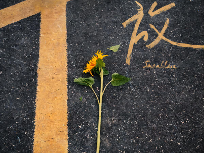 放 (温柔版) (Single)