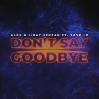 Don't Say Goodbye (Single)