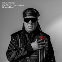 Can We Fix Our Nation's Broken Heart (Single)