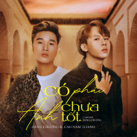 Có Phải Anh Chưa Tốt (Single)