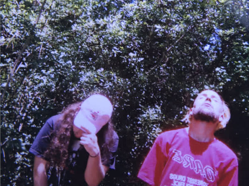 High Tide in the Snake's Nest