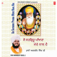 So Satguru Piyara Mere Naal Hai Vol-19 (Single)