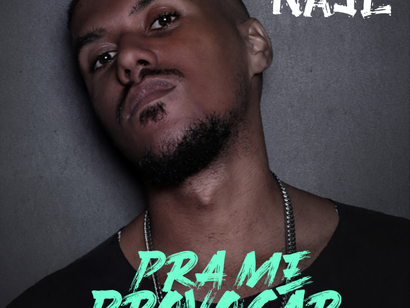 Pra Me Provocar (Single)