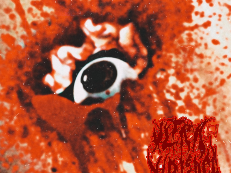 The sound of battering your skull in with a PVC pipe (Single)