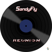 Reunion (Radio Edit) (Single)