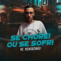 Se chorei ou se sofri (Single)