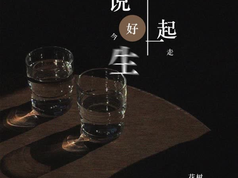 说好今生一起走 (Single)