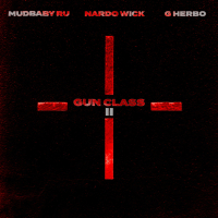 Gun Class II (Single)