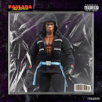 Paulada Na Xereca (Single)