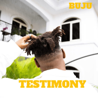 Testimony (Single)