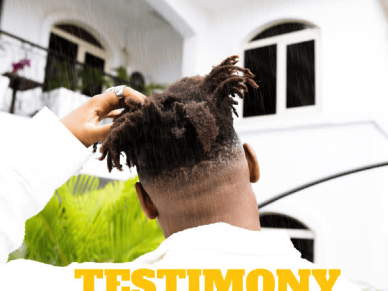 Testimony (Single)