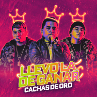 Llevo la de Ganar (Single)