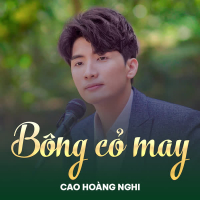 Bông Cỏ May (Single)